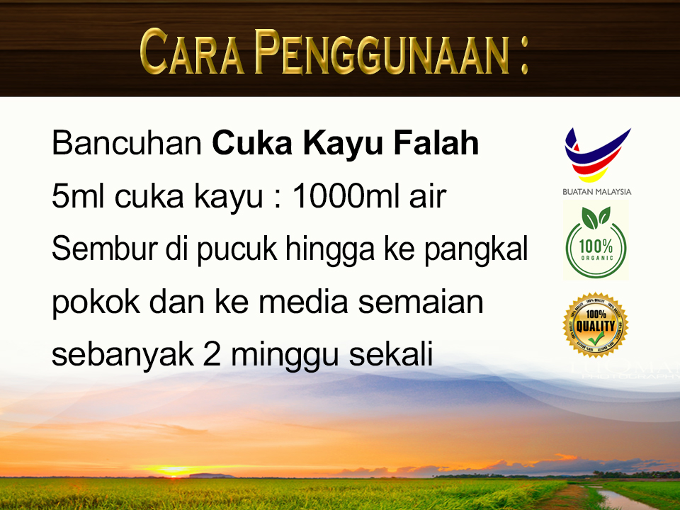 Cara Penggunaan