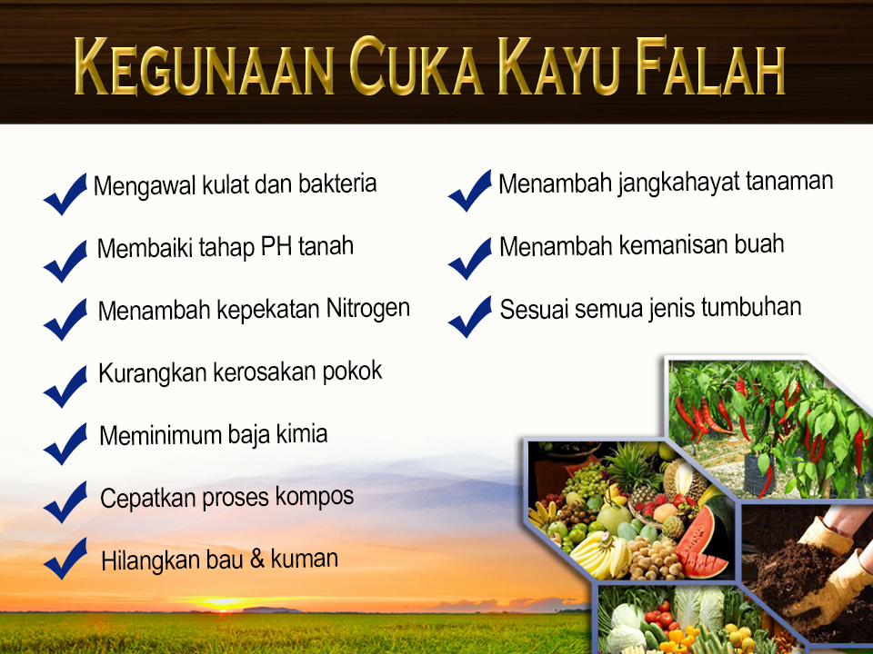 Kegunaan cuka kayu