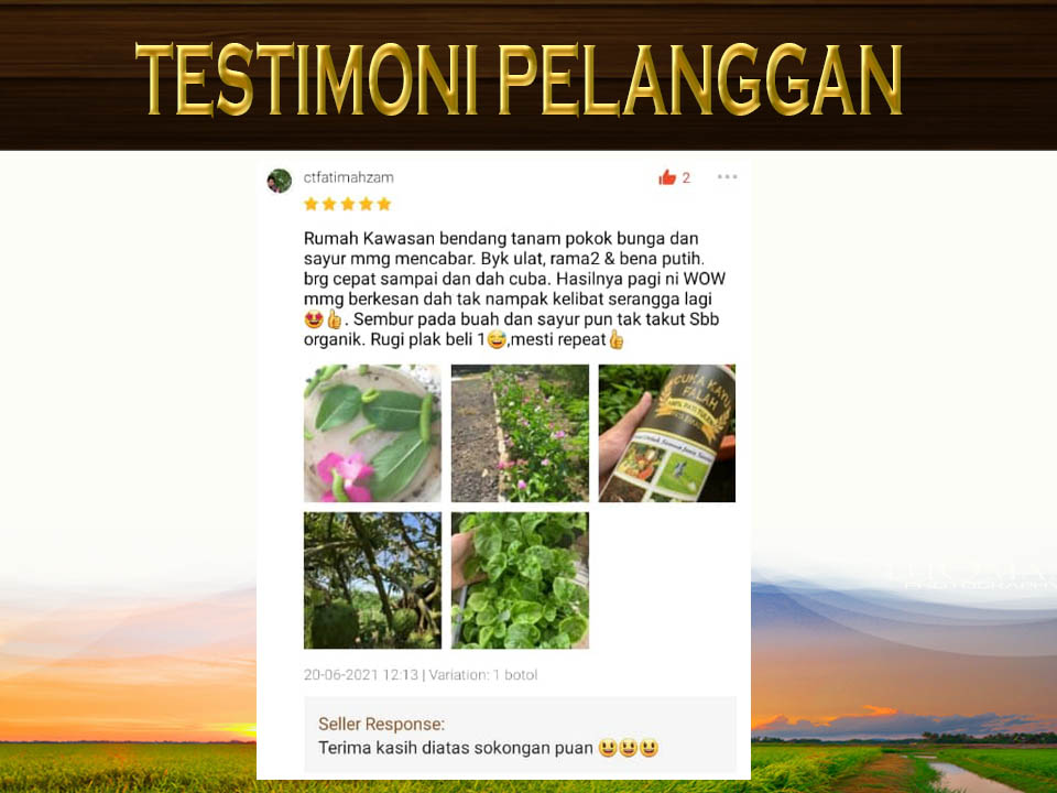 Testimoni1